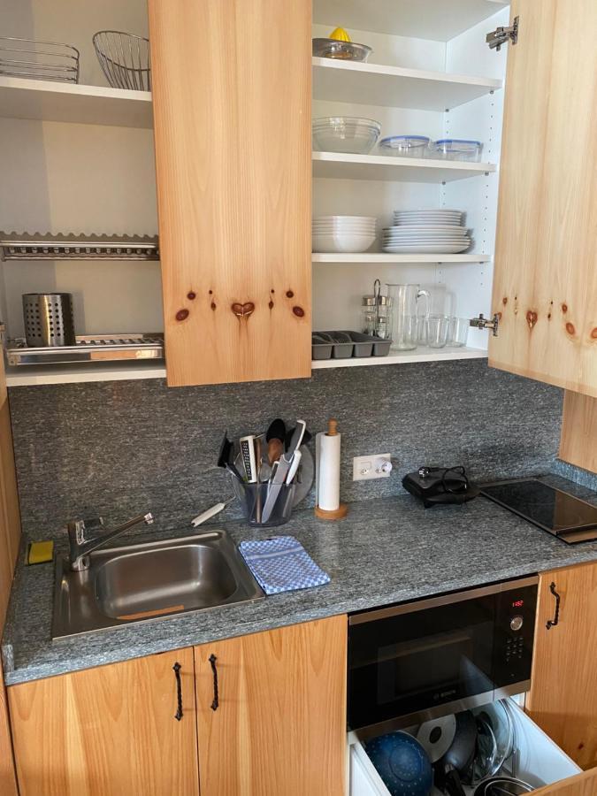 Relaxing Confortable Studio, Heated Garage, Skiroom Samedan Luaran gambar