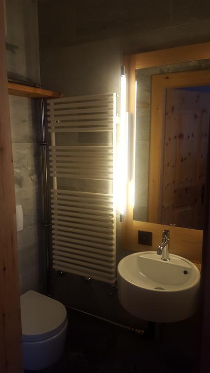 Relaxing Confortable Studio, Heated Garage, Skiroom Samedan Luaran gambar